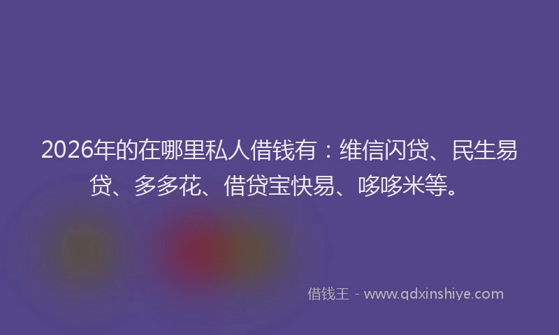 2026年的在哪里私人借钱有：维信闪贷、民生易贷、多多花、借贷宝快易、哆哆米等。