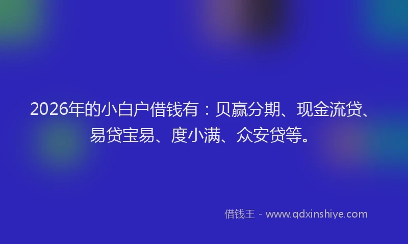 2026年的小白户借钱有：贝赢分期、现金流贷、易贷宝易、度小满、众安贷等。