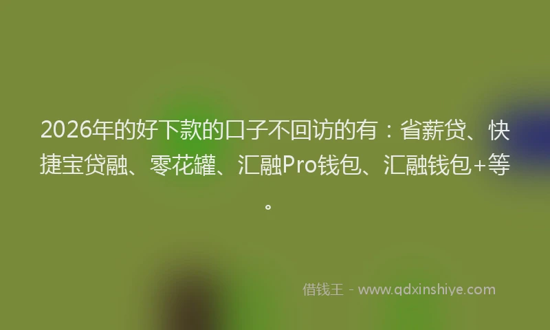 2026年的好下款的口子不回访的有：省薪贷、快捷宝贷融、零花罐、汇融Pro钱包、汇融钱包+等。