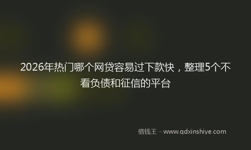 2026年热门哪个网贷容易过下款快，整理5个不看负债和征信的平台