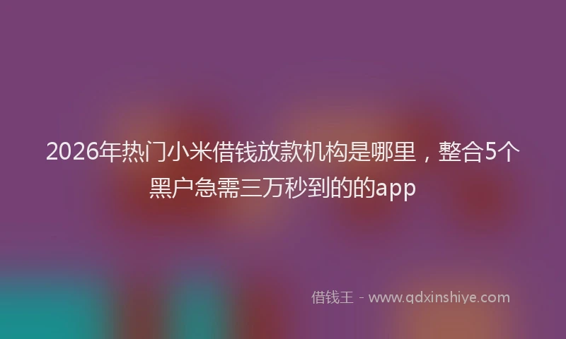 2026年热门小米借钱放款机构是哪里，整合5个黑户急需三万秒到的的app