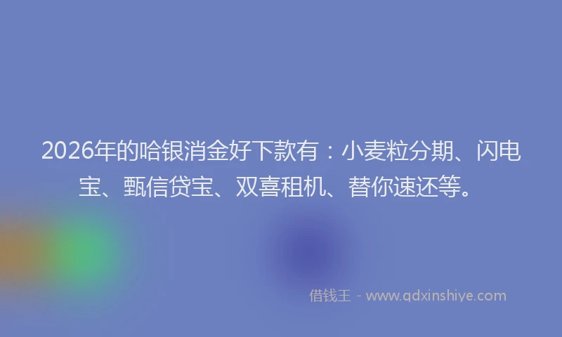 2026年的哈银消金好下款有：小麦粒分期、闪电宝、甄信贷宝、双喜租机、替你速还等。