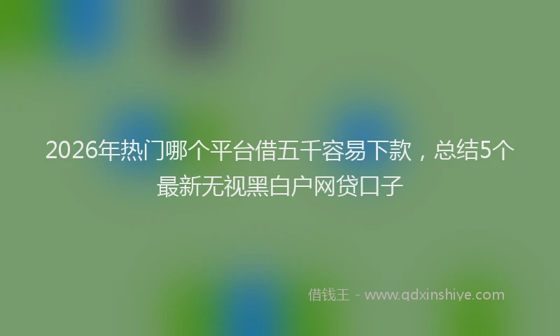 2026年热门哪个平台借五千容易下款，总结5个最新无视黑白户网贷口子