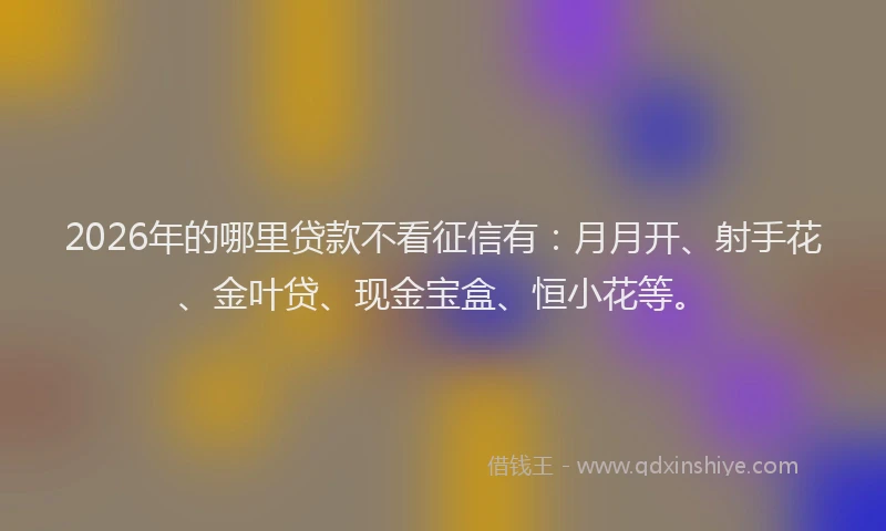 2026年的哪里贷款不看征信有：月月开、射手花、金叶贷、现金宝盒、恒小花等。