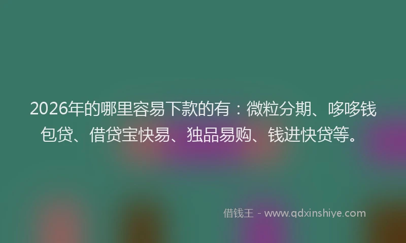 2026年的哪里容易下款的有：微粒分期、哆哆钱包贷、借贷宝快易、独品易购、钱进快贷等。