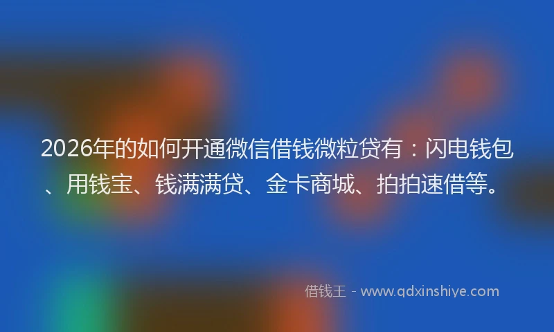 2026年的如何开通微信借钱微粒贷有：闪电钱包、用钱宝、钱满满贷、金卡商城、拍拍速借等。