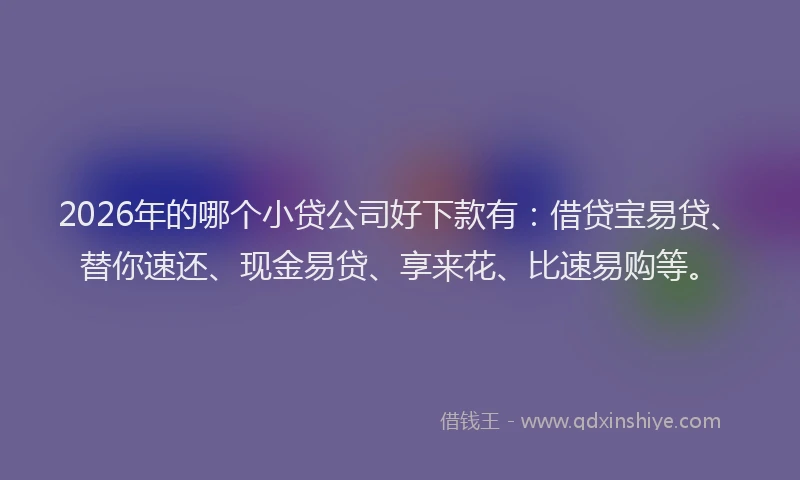 2026年的哪个小贷公司好下款有：借贷宝易贷、替你速还、现金易贷、享来花、比速易购等。