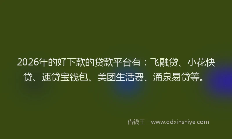 2026年的好下款的贷款平台有：飞融贷、小花快贷、速贷宝钱包、美团生活费、涌泉易贷等。