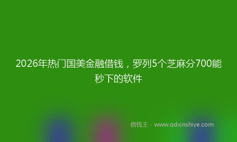 2026年热门国美金融借钱，罗列5个芝麻分700能秒下的软件