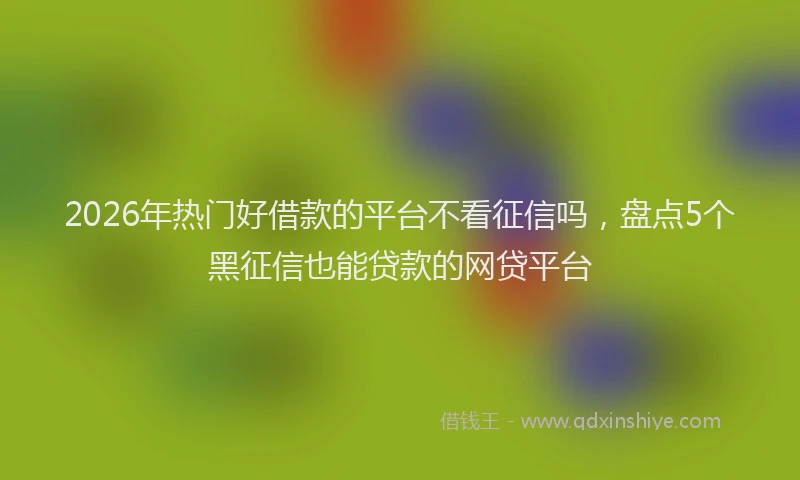 2026年热门好借款的平台不看征信吗，盘点5个黑征信也能贷款的网贷平台