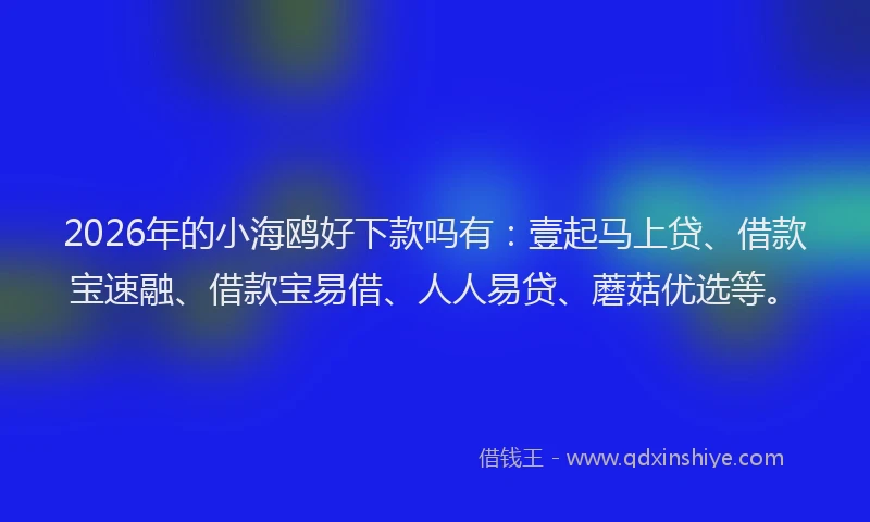 2026年的小海鸥好下款吗有：壹起马上贷、借款宝速融、借款宝易借、人人易贷、蘑菇优选等。