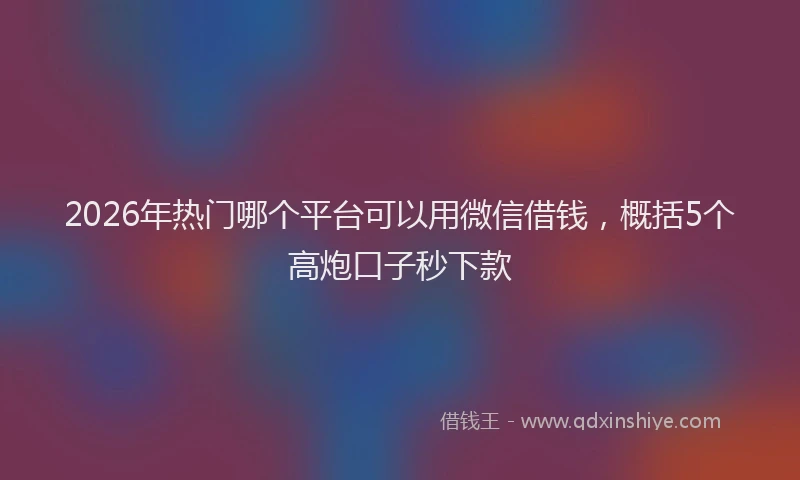 2026年热门哪个平台可以用微信借钱，概括5个高炮口子秒下款