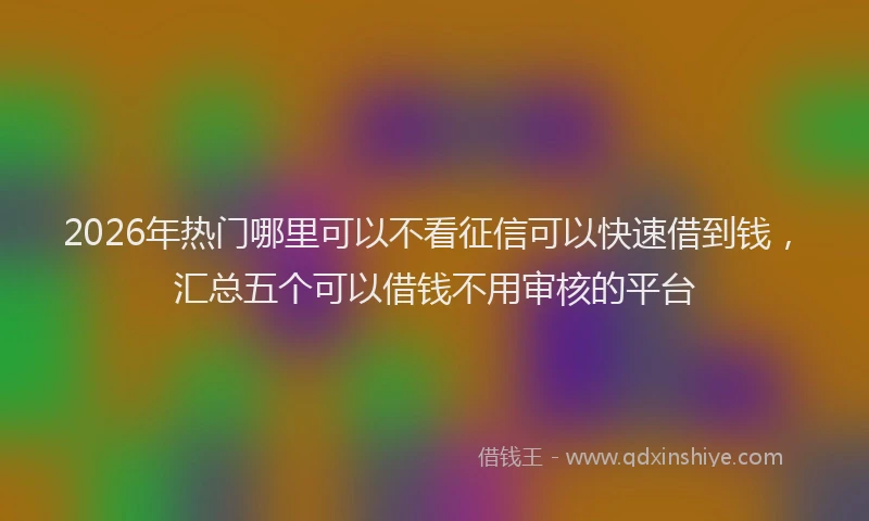 2026年热门哪里可以不看征信可以快速借到钱，汇总五个可以借钱不用审核的平台
