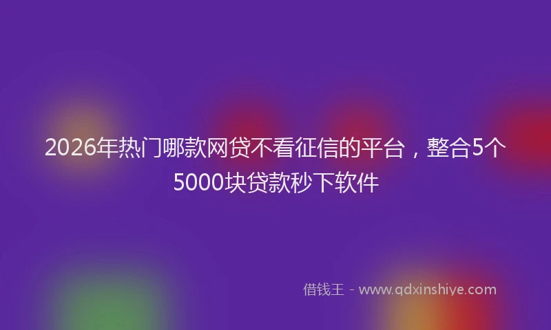 2026年热门哪款网贷不看征信的平台，整合5个5000块贷款秒下软件