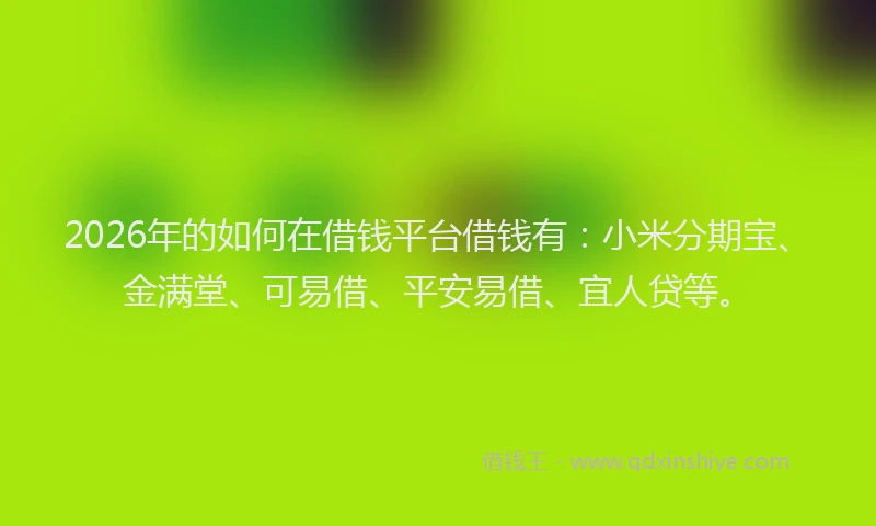 2026年的如何在借钱平台借钱有:小米分期宝、金满堂、可易借、平安易借、宜人贷等。