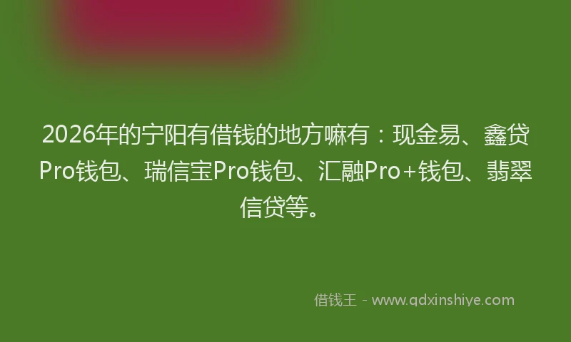 2026年的宁阳有借钱的地方嘛有：现金易、鑫贷Pro钱包、瑞信宝Pro钱包、汇融Pro+钱包、翡翠信贷等。