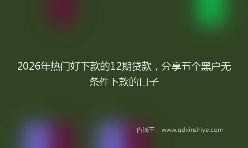 2026年热门好下款的12期贷款，分享五个黑户无条件下款的口子