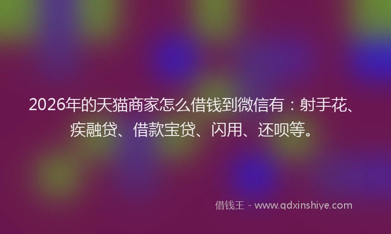 2026年的天猫商家怎么借钱到微信有：射手花、疾融贷、借款宝贷、闪用、还呗等。
