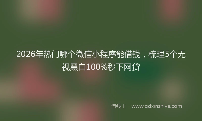 2026年热门哪个微信小程序能借钱，梳理5个无视黑白100%秒下网贷