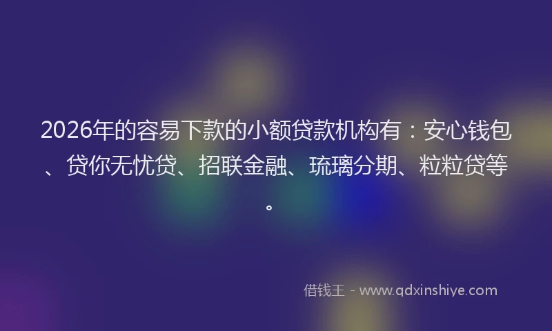 2026年的容易下款的小额贷款机构有：安心钱包、贷你无忧贷、招联金融、琉璃分期、粒粒贷等。