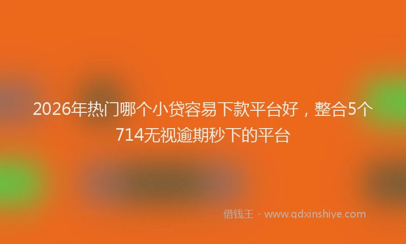 2026年热门哪个小贷容易下款平台好，整合5个714无视逾期秒下的平台