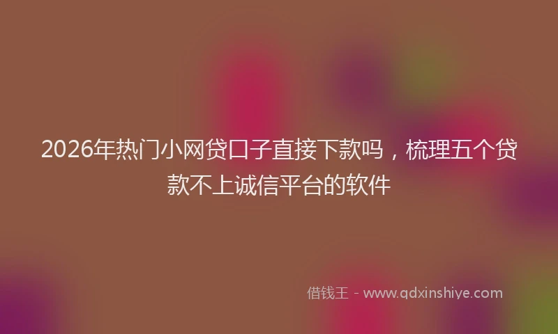 2026年热门小网贷口子直接下款吗，梳理五个贷款不上诚信平台的软件