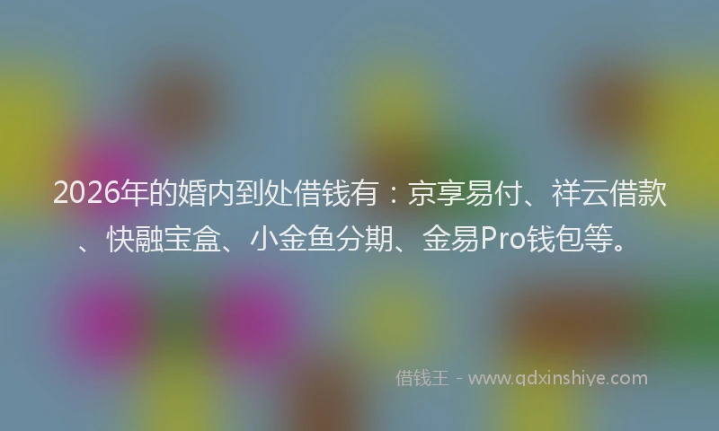 2026年的婚内到处借钱有：京享易付、祥云借款、快融宝盒、小金鱼分期、金易Pro钱包等。