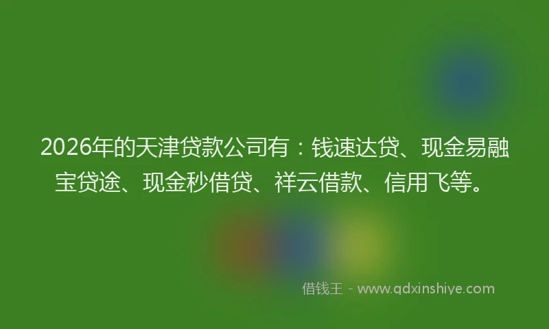 2026年的天津贷款公司有：钱速达贷、现金易融宝贷途、现金秒借贷、祥云借款、信用飞等。