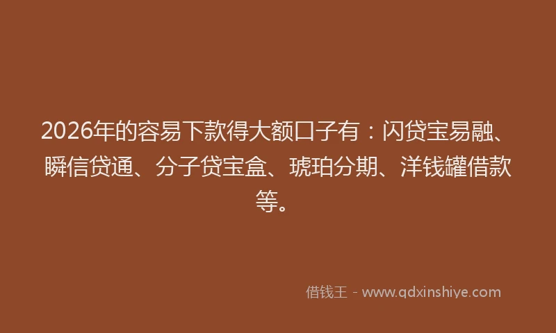 2026年的容易下款得大额口子有：闪贷宝易融、瞬信贷通、分子贷宝盒、琥珀分期、洋钱罐借款等。
