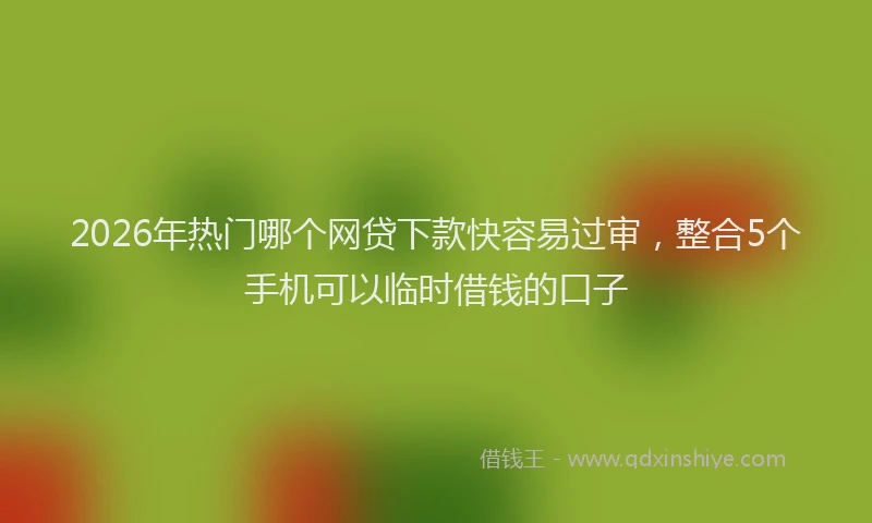 2026年热门哪个网贷下款快容易过审，整合5个手机可以临时借钱的口子