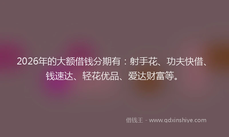 2026年的大额借钱分期有：射手花、功夫快借、钱速达、轻花优品、爱达财富等。