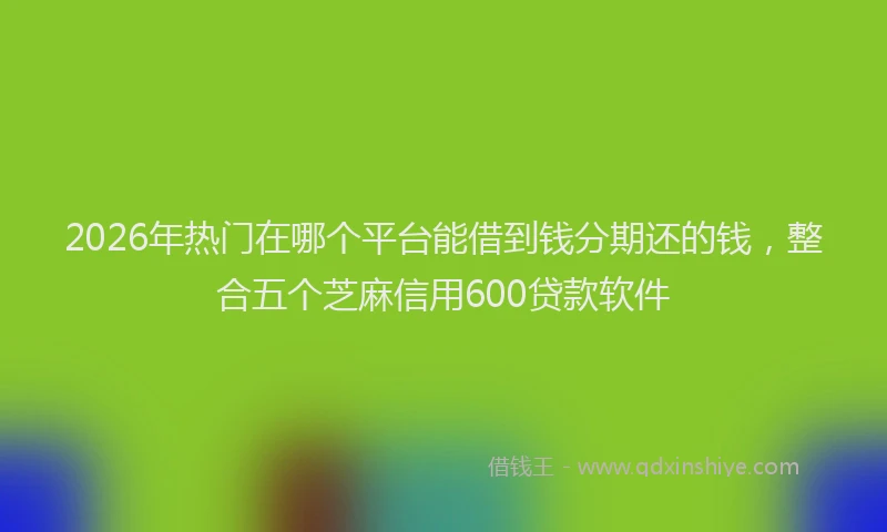 2026年热门在哪个平台能借到钱分期还的钱，整合五个芝麻信用600贷款软件