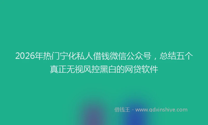2026年热门宁化私人借钱微信公众号，总结五个真正无视风控黑白的网贷软件