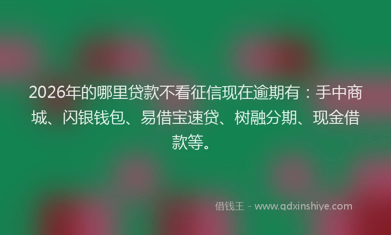 2026年的哪里贷款不看征信现在逾期有：手中商城、闪银钱包、易借宝速贷、树融分期、现金借款等。