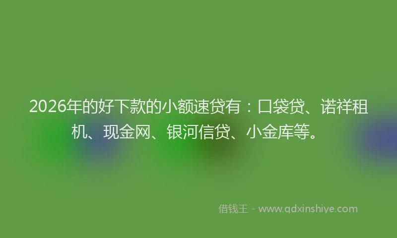 2026年的好下款的小额速贷有：口袋贷、诺祥租机、现金网、银河信贷、小金库等。