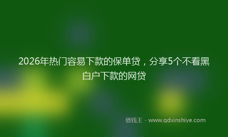 2026年热门容易下款的保单贷，分享5个不看黑白户下款的网贷