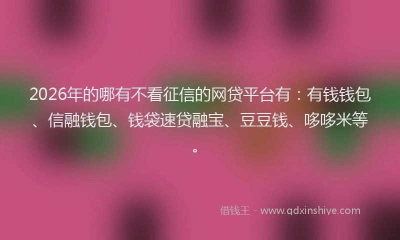 2026年的哪有不看征信的网贷平台有：有钱钱包、信融钱包、钱袋速贷融宝、豆豆钱、哆哆米等。
