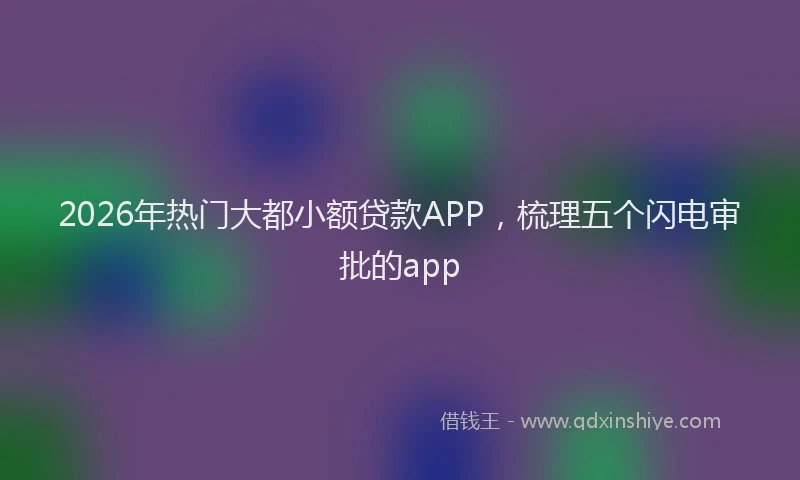2026年热门大都小额贷款APP，梳理五个闪电审批的app