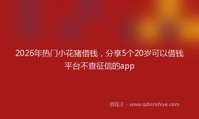 2026年热门小花猪借钱,分享5个20岁可以借钱平台不查征信的app