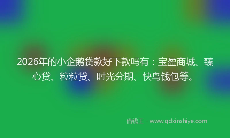 2026年的小企鹅贷款好下款吗有：宝盈商城、臻心贷、粒粒贷、时光分期、快鸟钱包等。