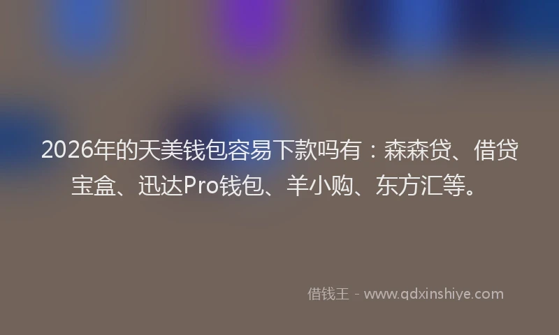 2026年的天美钱包容易下款吗有：森森贷、借贷宝盒、迅达Pro钱包、羊小购、东方汇等。