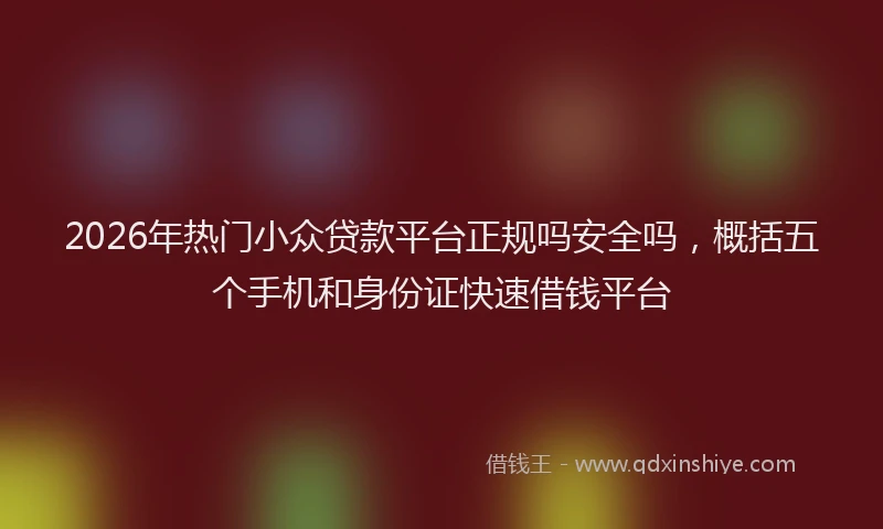 2026年热门小众贷款平台正规吗安全吗，概括五个手机和身份证快速借钱平台