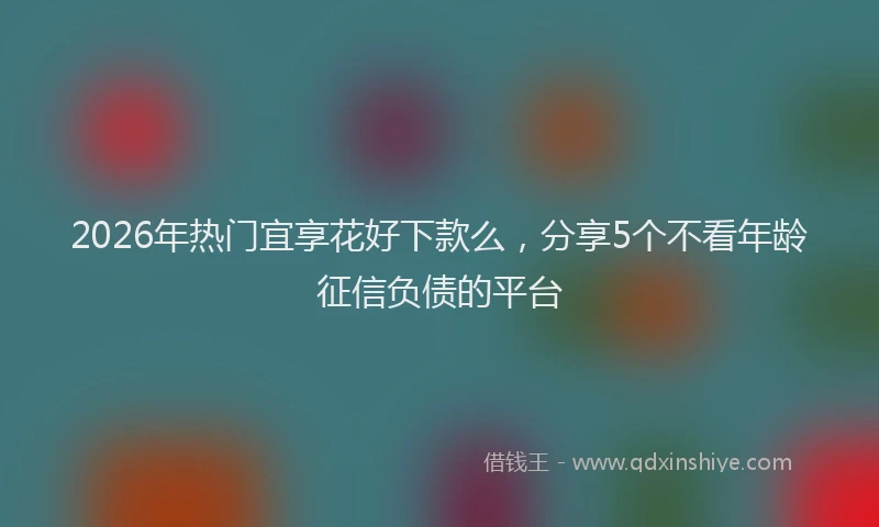 2026年热门宜享花好下款么，分享5个不看年龄征信负债的平台