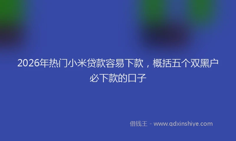 2026年热门小米贷款容易下款，概括五个双黑户必下款的口子