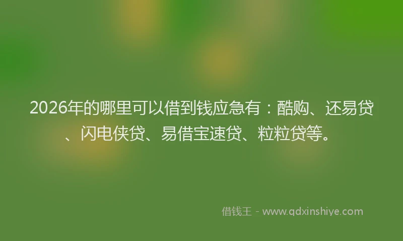 2026年的哪里可以借到钱应急有：酷购、还易贷、闪电侠贷、易借宝速贷、粒粒贷等。