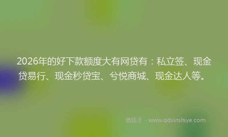 2026年的好下款额度大有网贷有：私立签、现金贷易行、现金秒贷宝、兮悦商城、现金达人等。