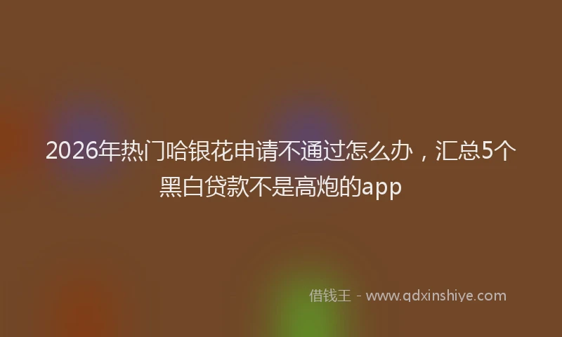 2026年热门哈银花申请不通过怎么办，汇总5个黑白贷款不是高炮的app