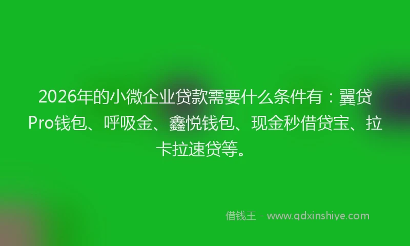 2026年的小微企业贷款需要什么条件有：翼贷Pro钱包、呼吸金、鑫悦钱包、现金秒借贷宝、拉卡拉速贷等。