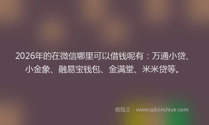 2026年的在微信哪里可以借钱呢有：万通小贷、小金象、融易宝钱包、金满堂、米米贷等。