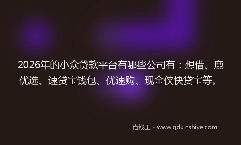 2026年的小众贷款平台有哪些公司有:想借、鹿优选、速贷宝钱包、优速购、现金侠快贷宝等。